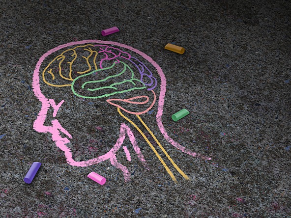 Outline of human head and brain drawn in coloured chalk